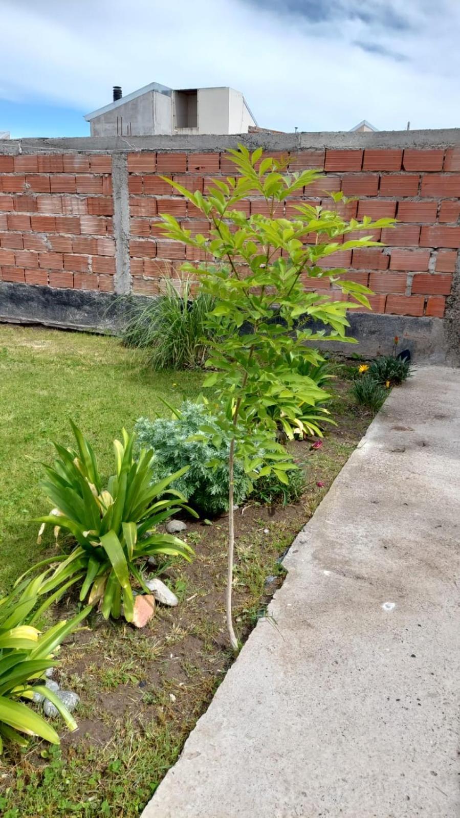 Habitacion Privada En La Casa De Thor Trelew Exterior photo